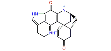 (5R,6S,8S)-Debromodiscorhabdin A